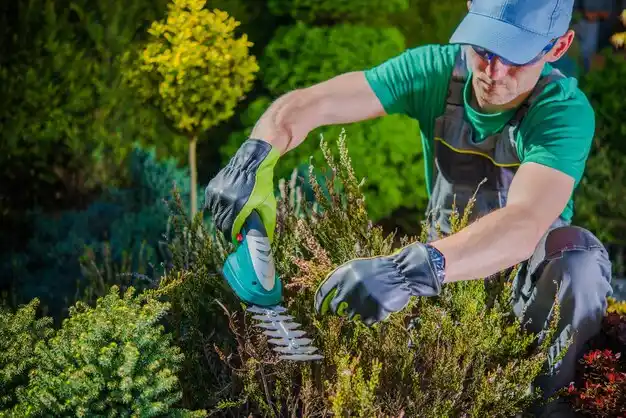 landscaping services Brimfield